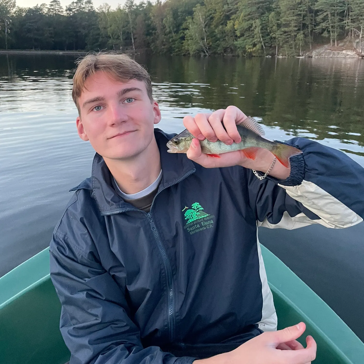 European perch caught on Fishbrain