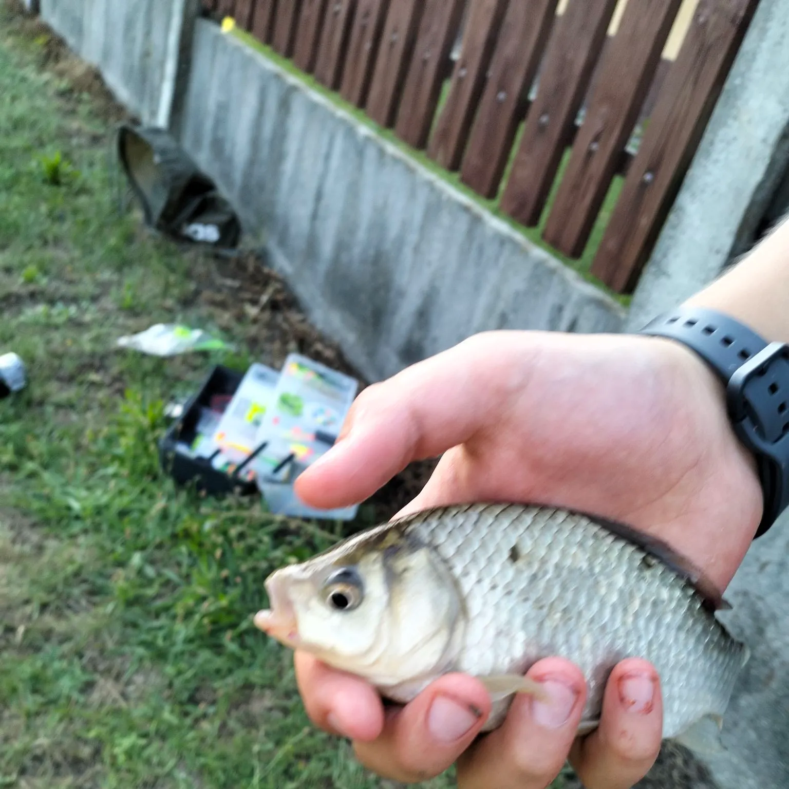 catch