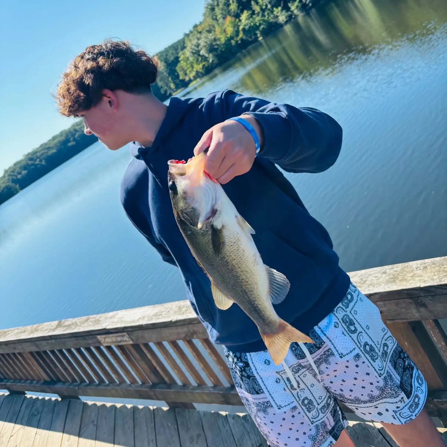 Largemouth bass caught on Fishbrain