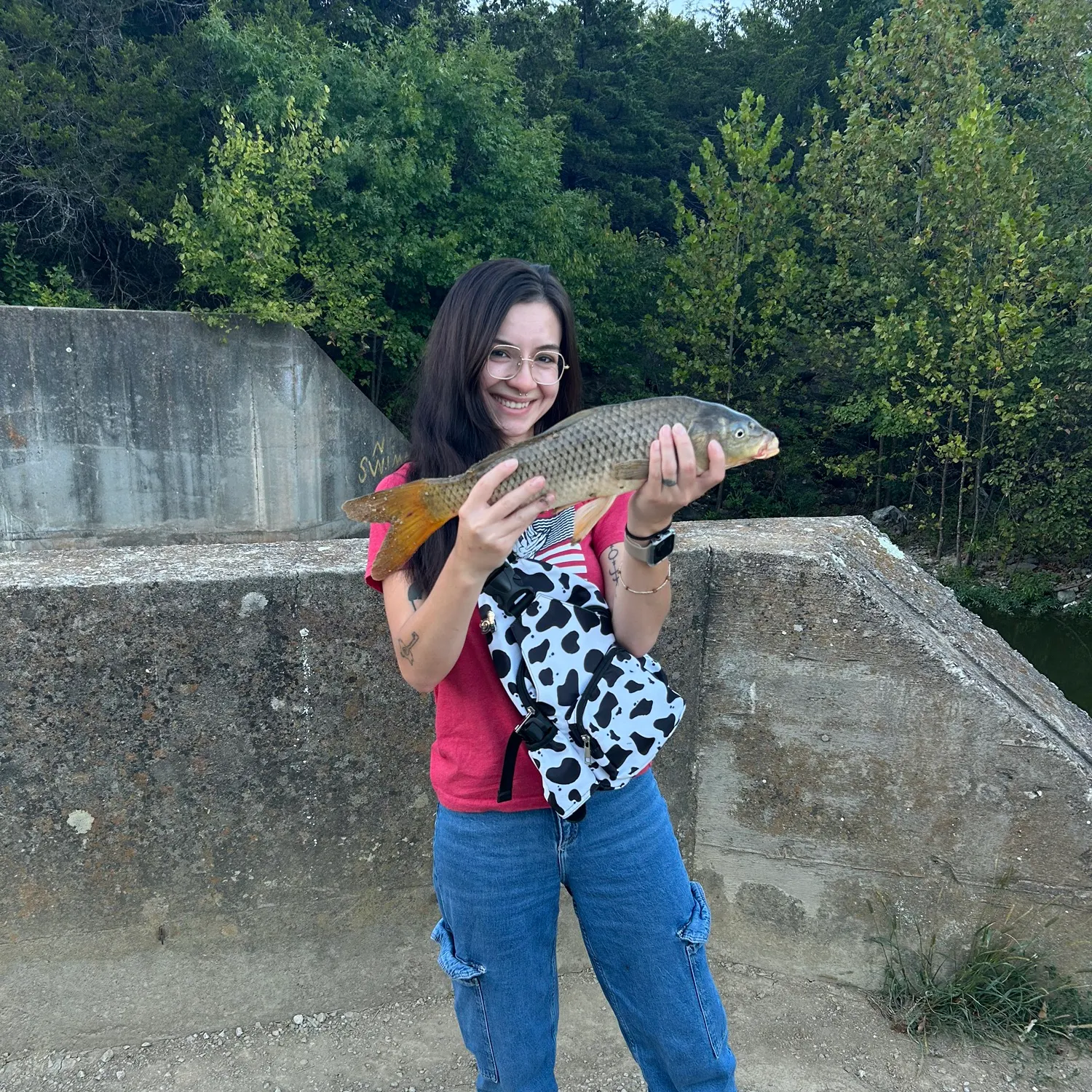 Common carp caught on Fishbrain