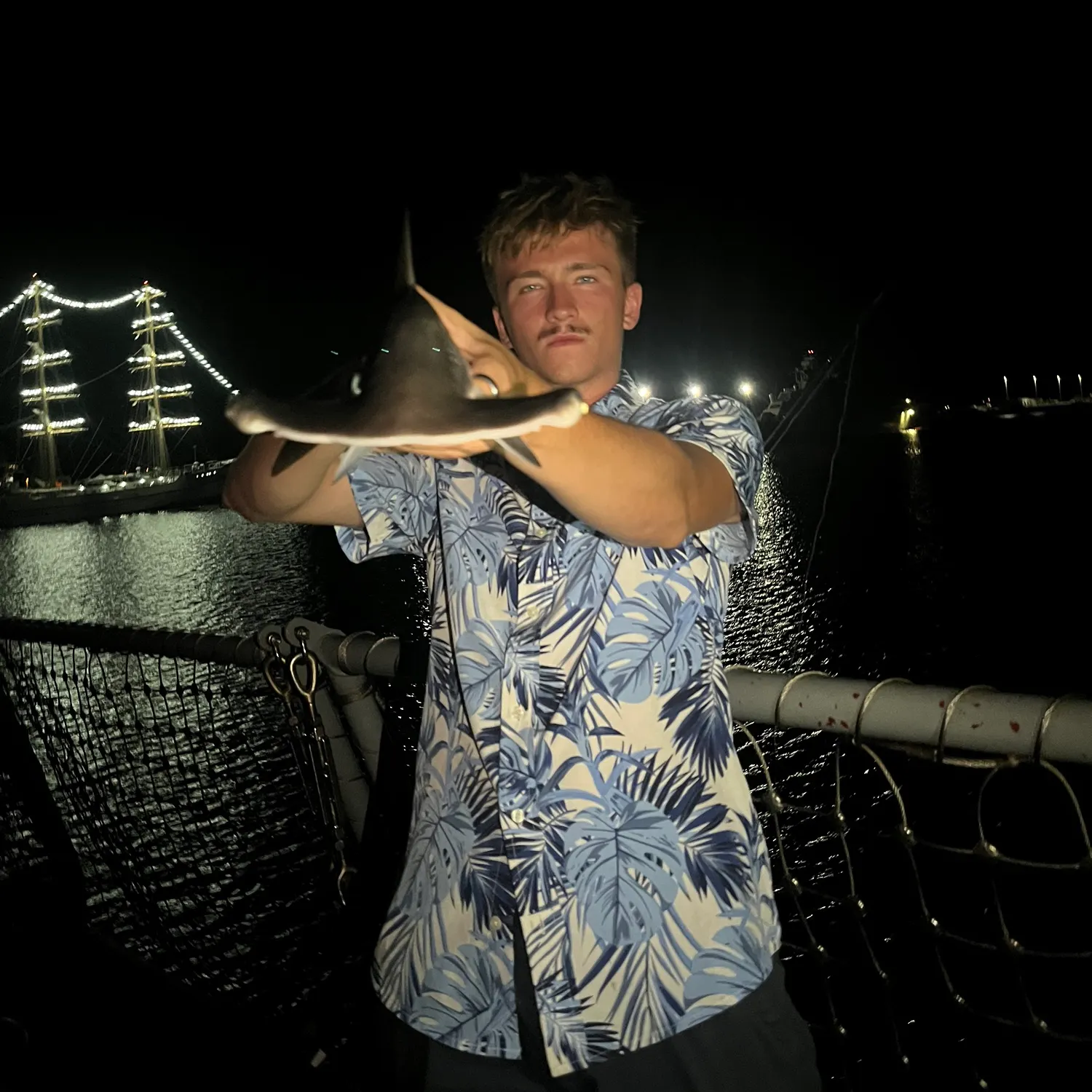 The most recent Scalloped hammerhead shark catches on Fishbrain