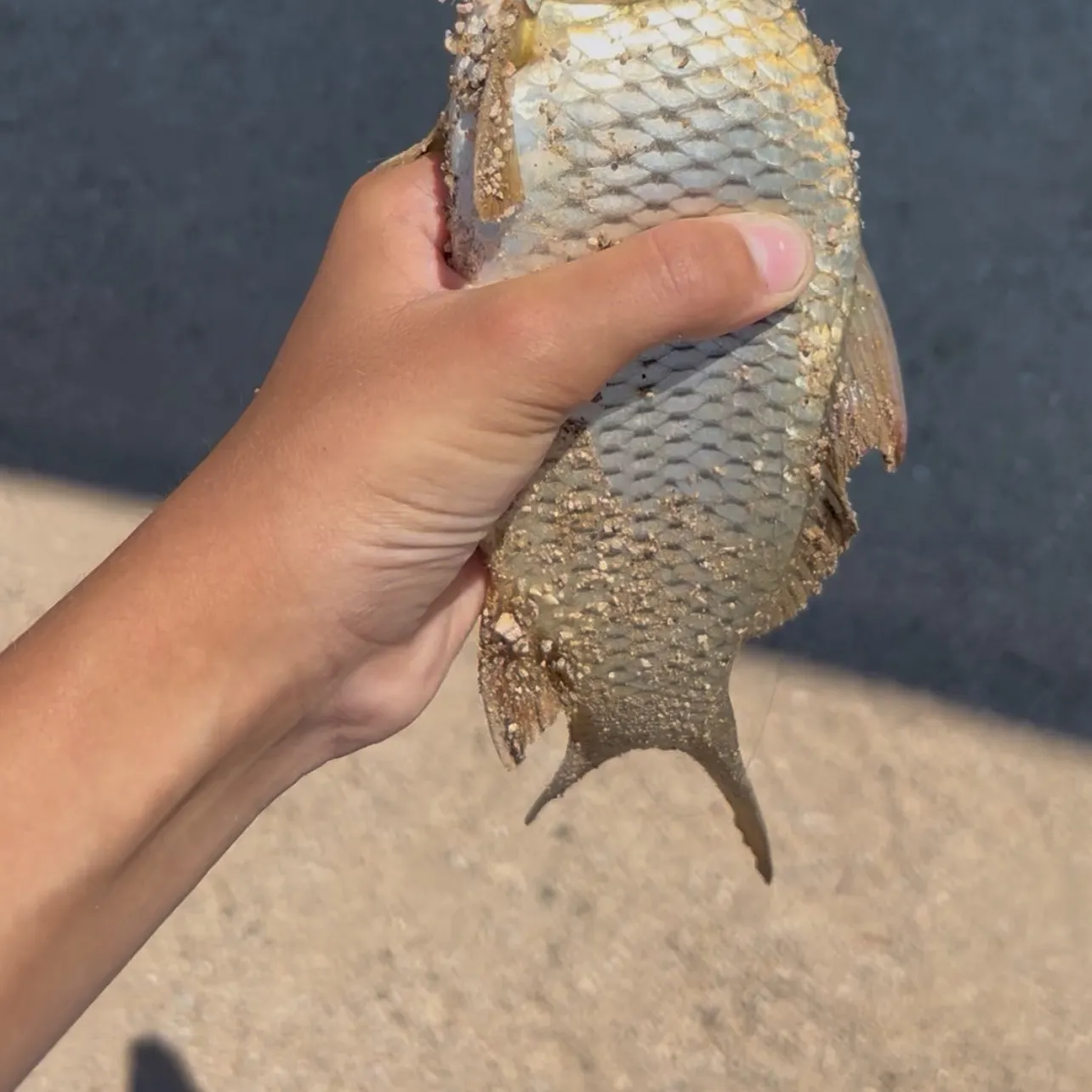 catch