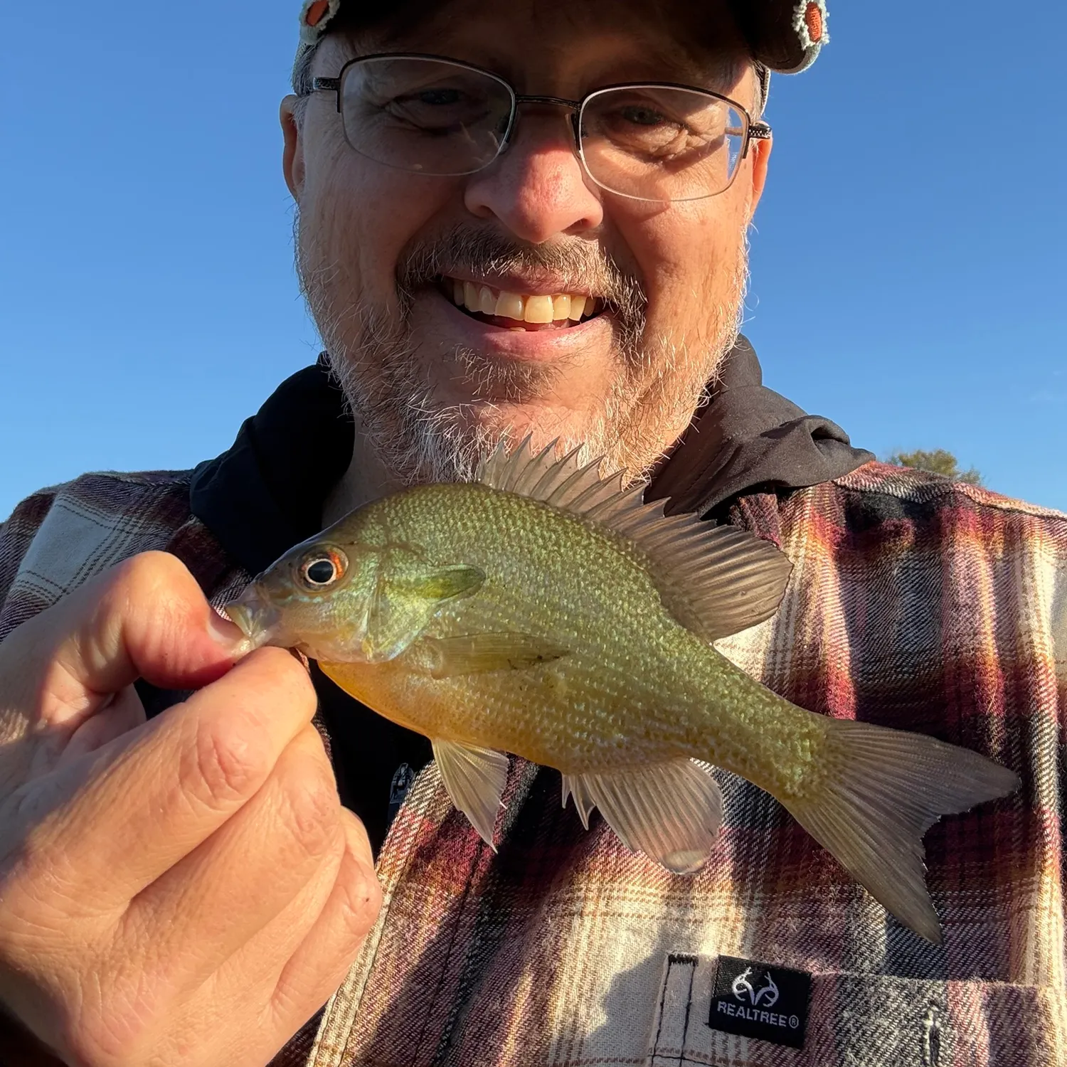 Redbreast sunfish caught on Fishbrain