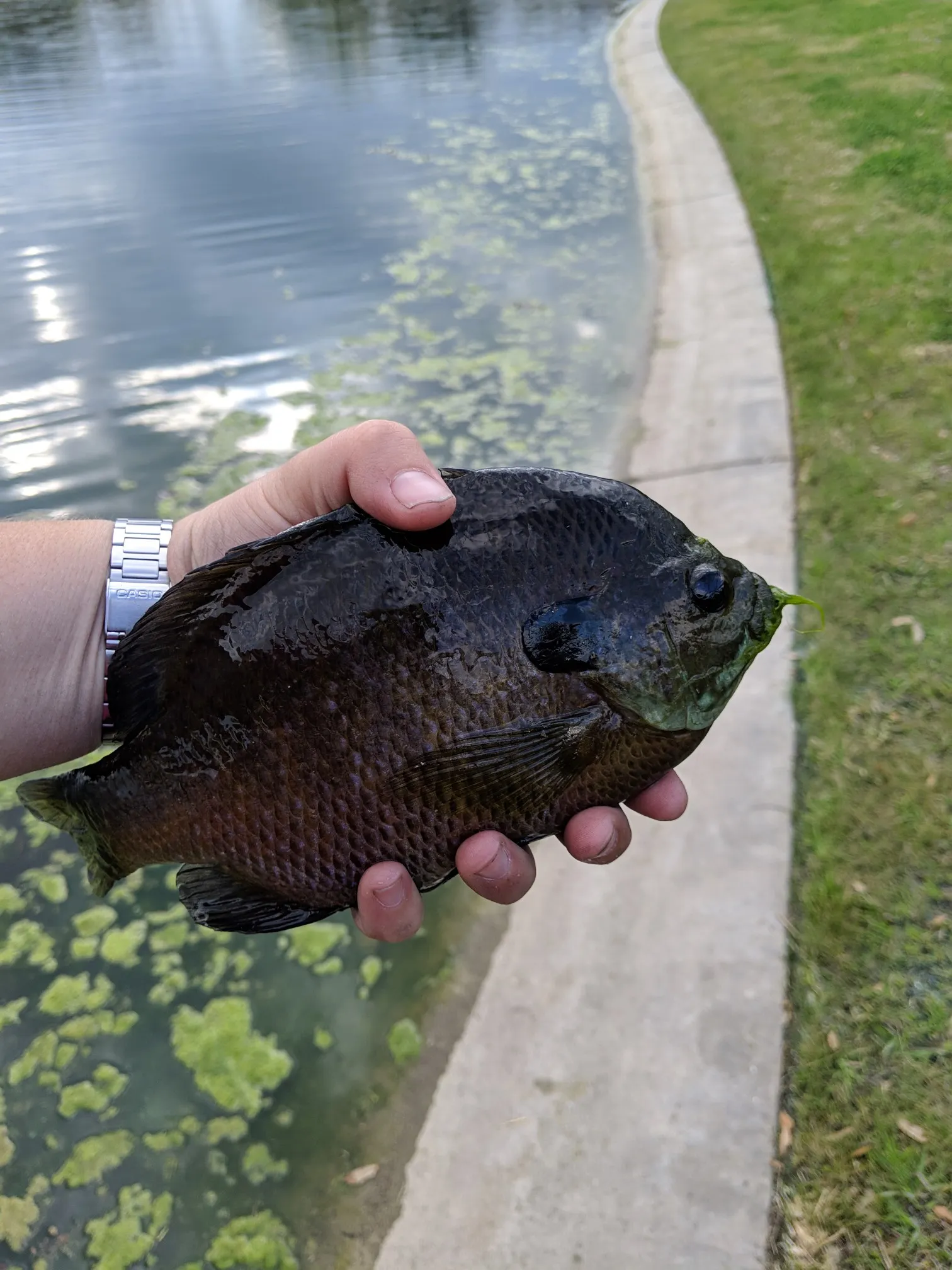 Post image from bkyle12