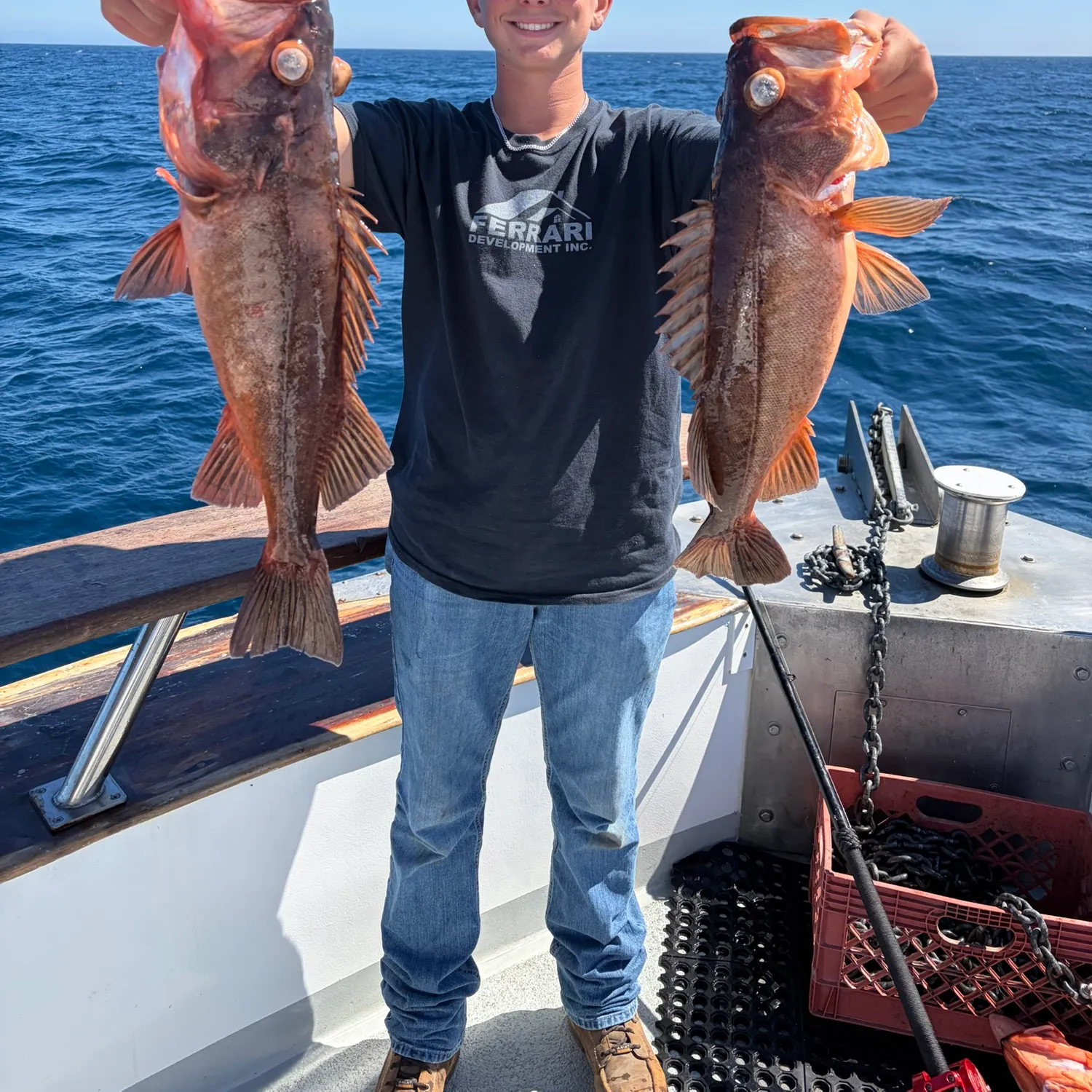 Bocaccio rockfish caught on Fishbrain