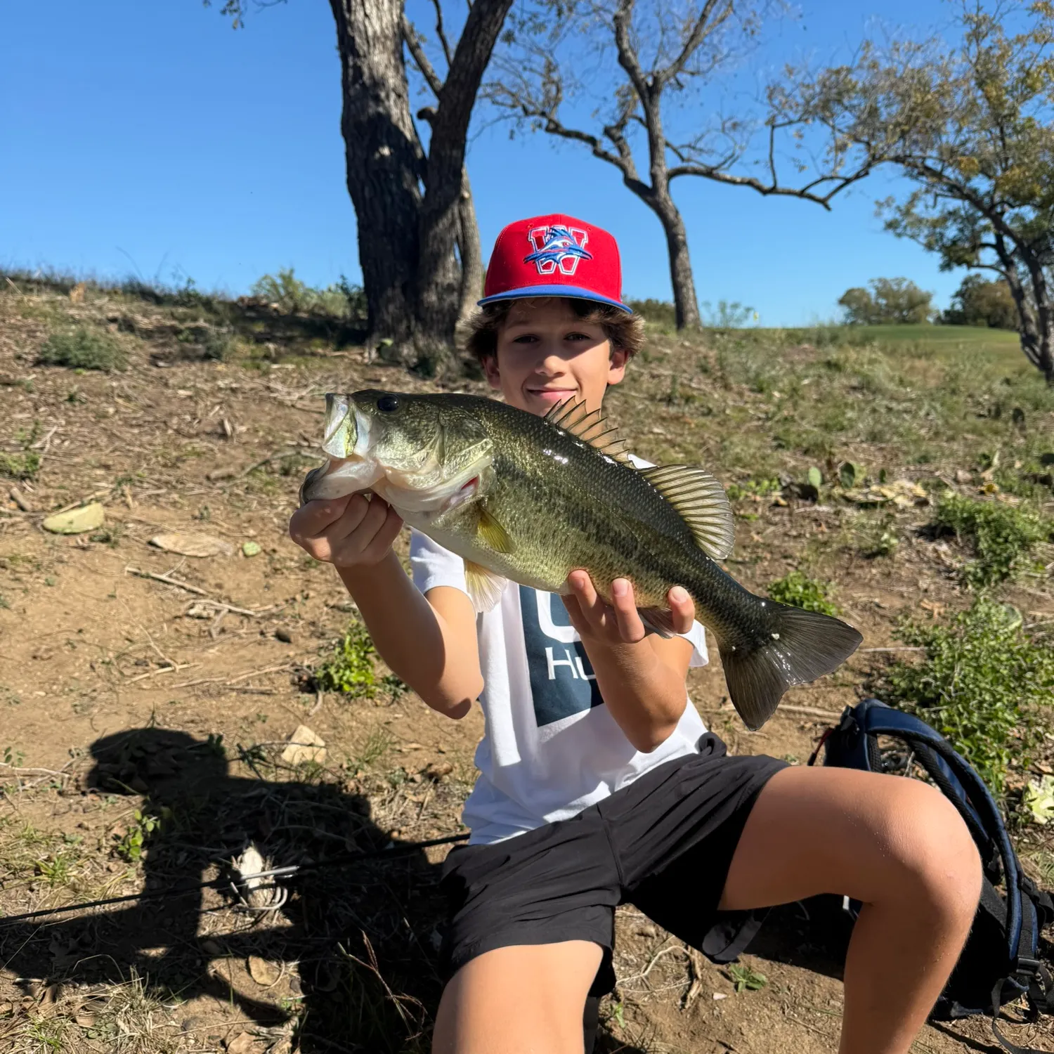 The most recent Largemouth bass catches on Fishbrain