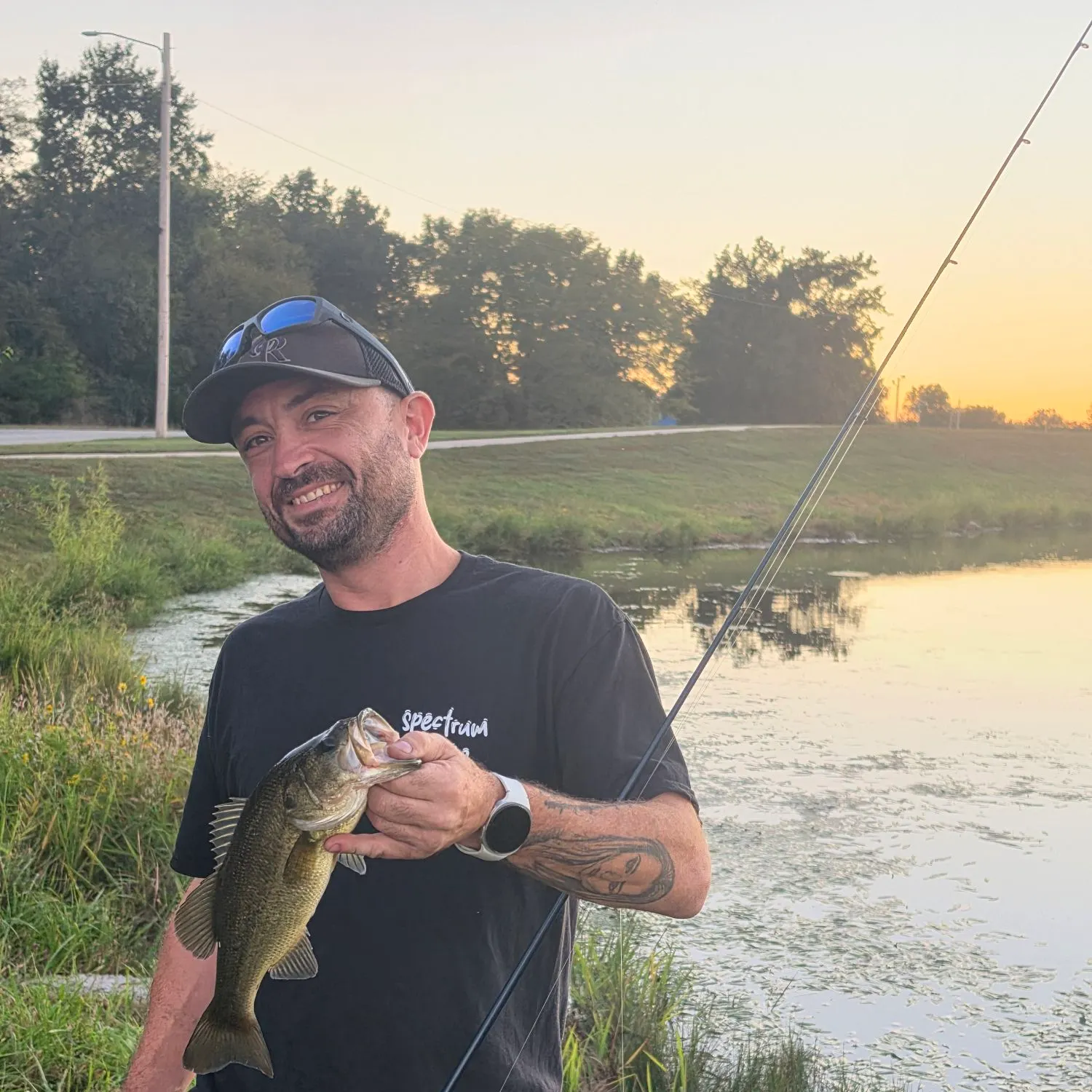 Largemouth bass caught on Fishbrain