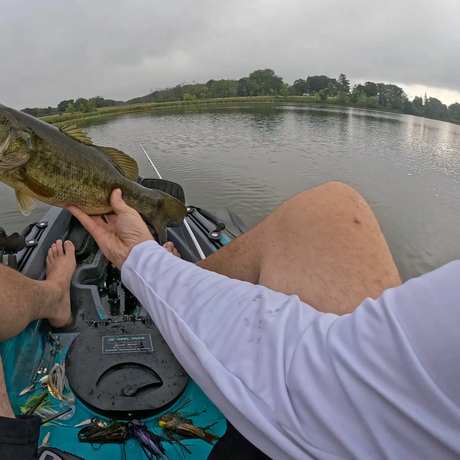 Largemouth bass caught on Fishbrain