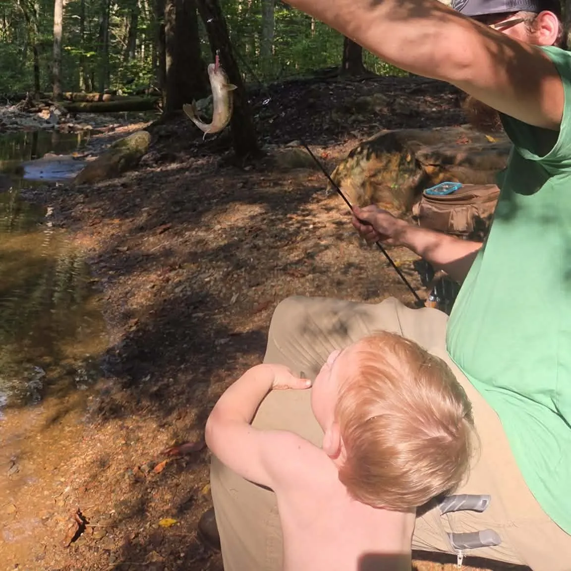 Rainbow trout caught on Fishbrain