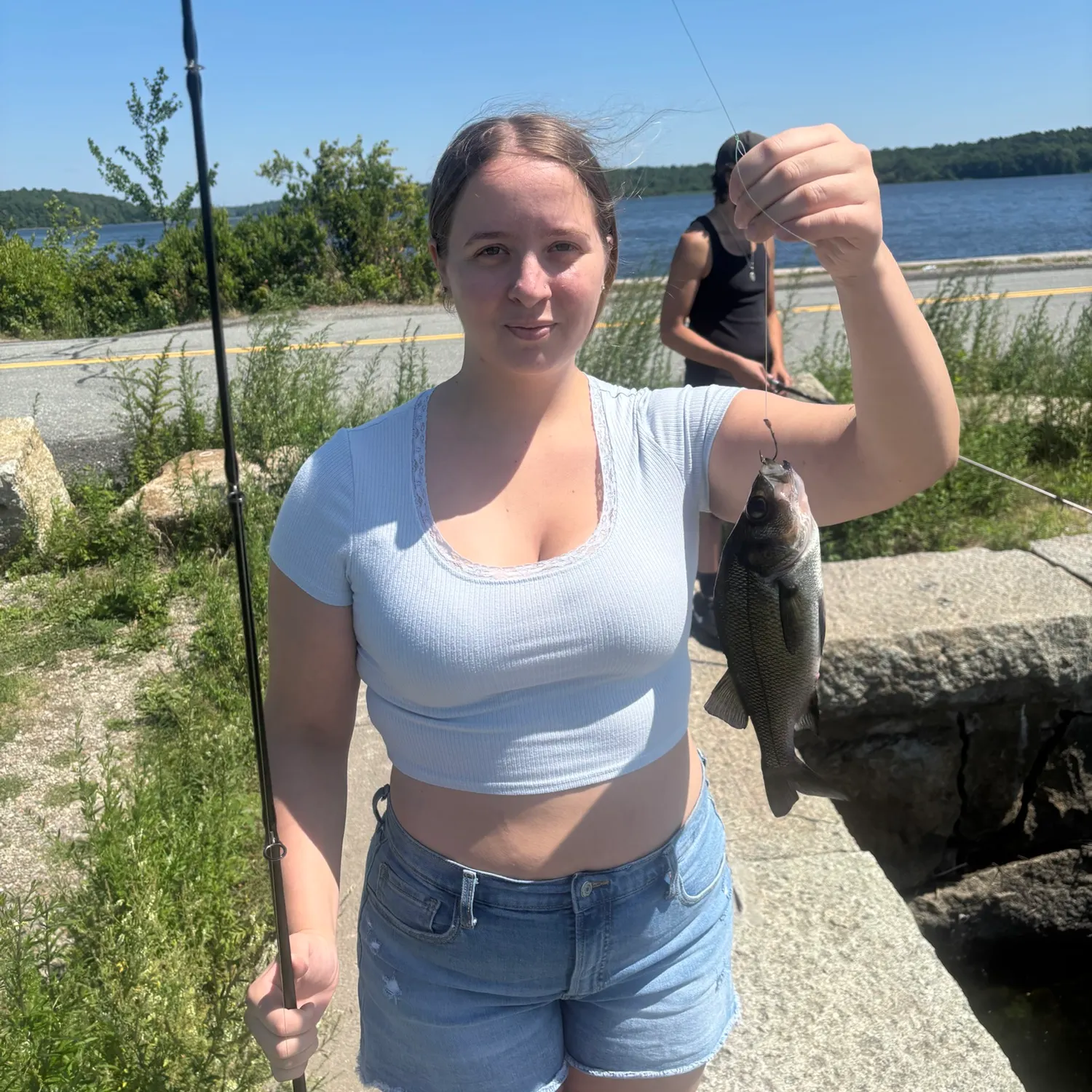 White perch caught on Fishbrain