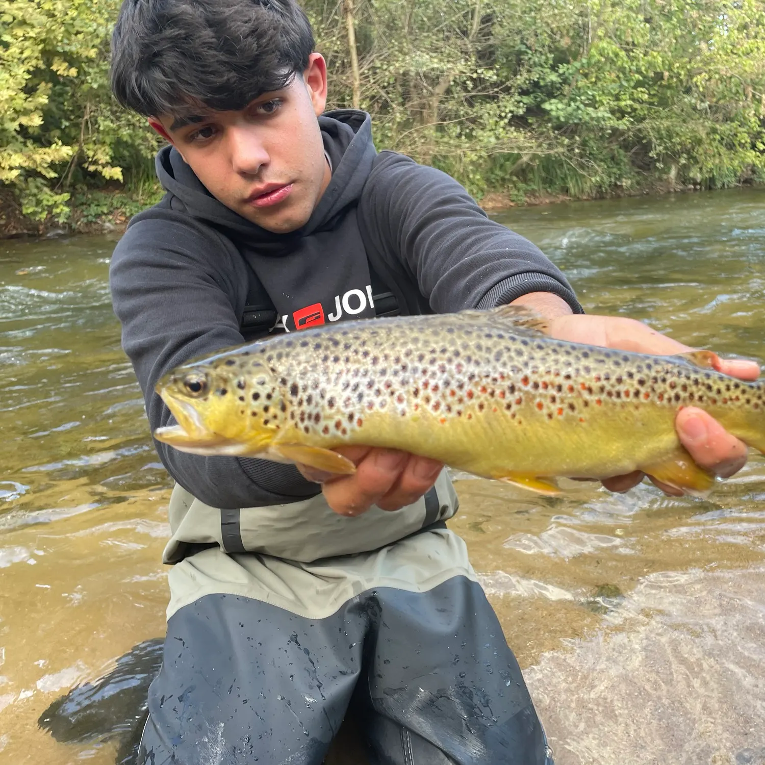 Brown trout caught on Fishbrain