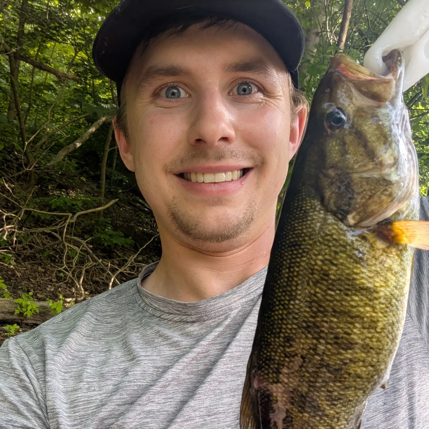 most liked catch image