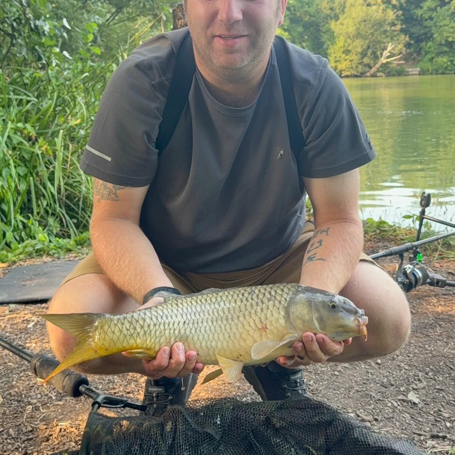 Common carp caught on Fishbrain
