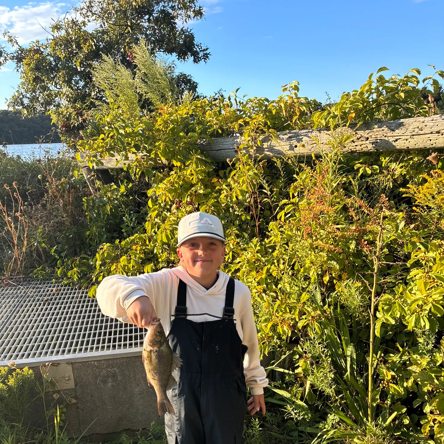 White perch caught on Fishbrain