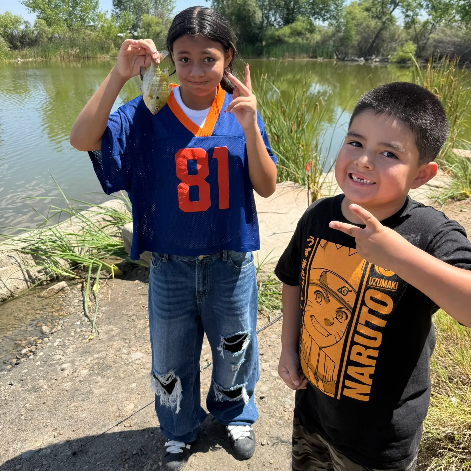 Bluegill caught on Fishbrain
