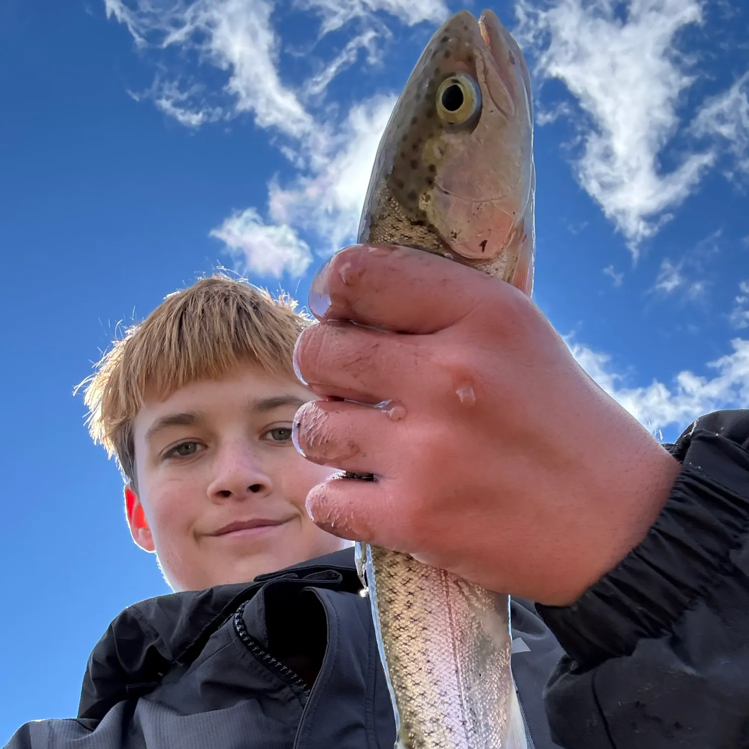 Rainbow trout caught on Fishbrain