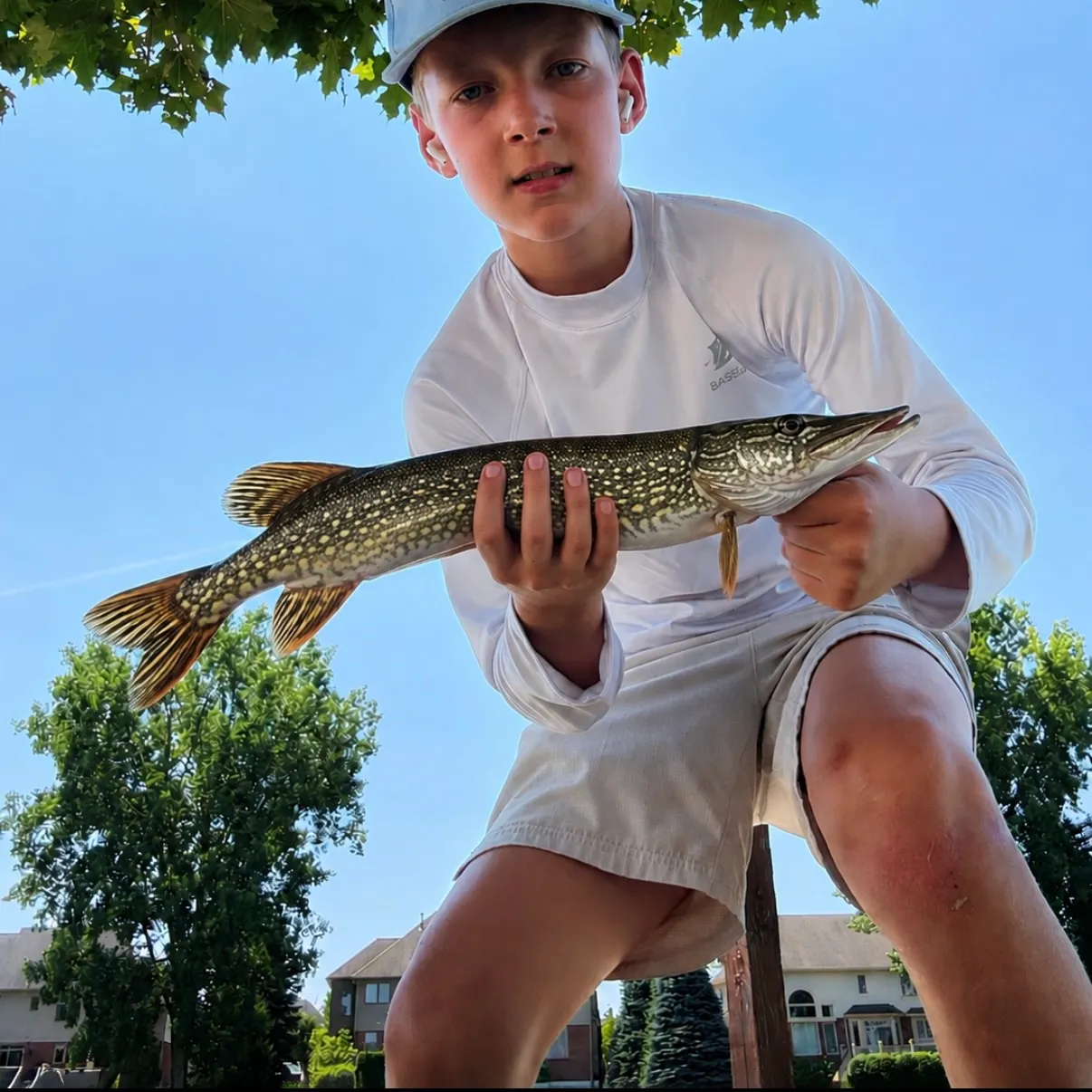 Northern pike caught on Fishbrain