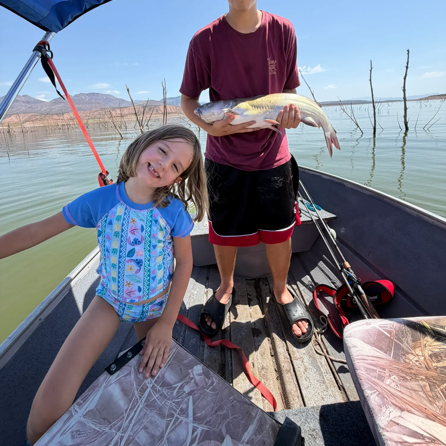 Channel catfish caught on Fishbrain