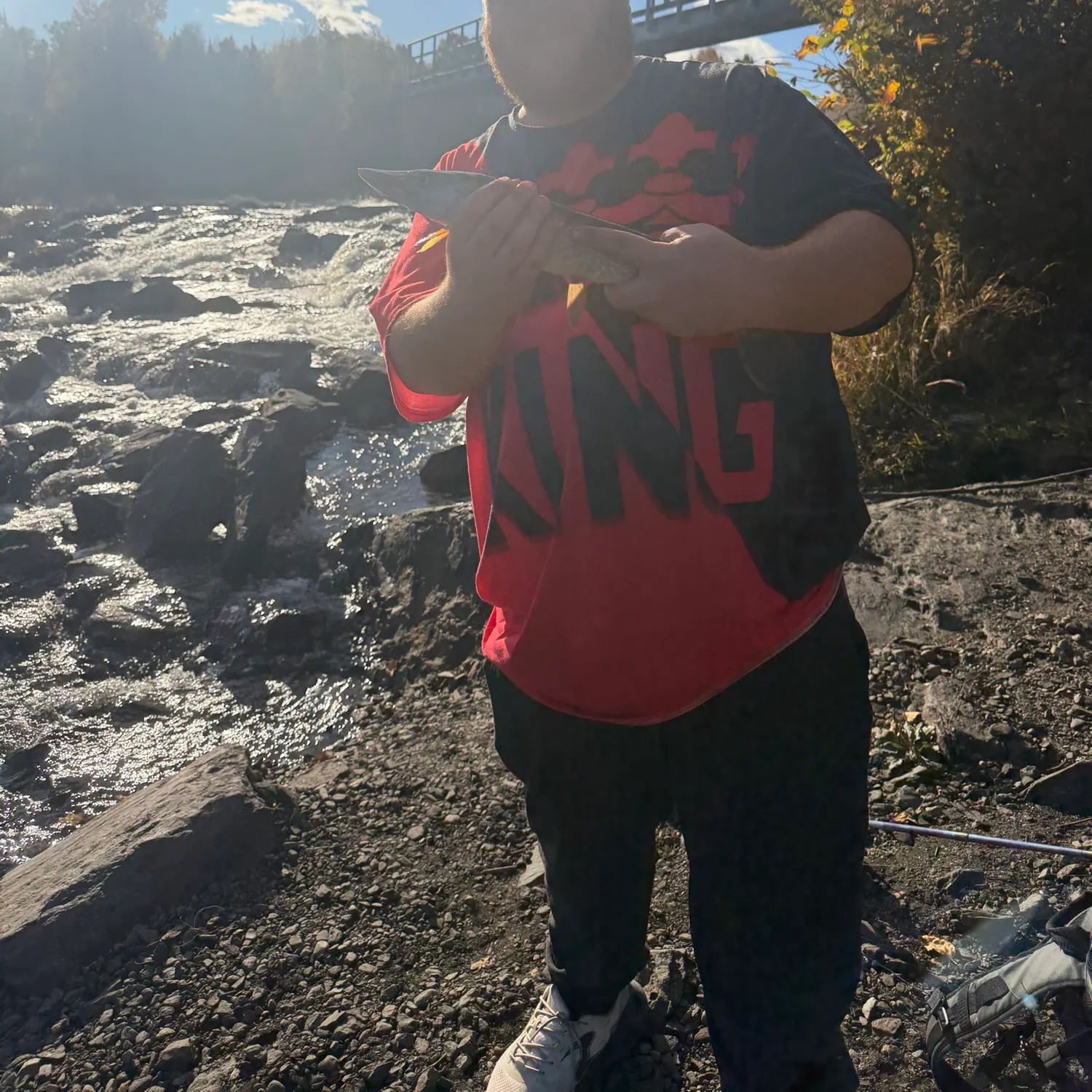 Northern pike caught on Fishbrain