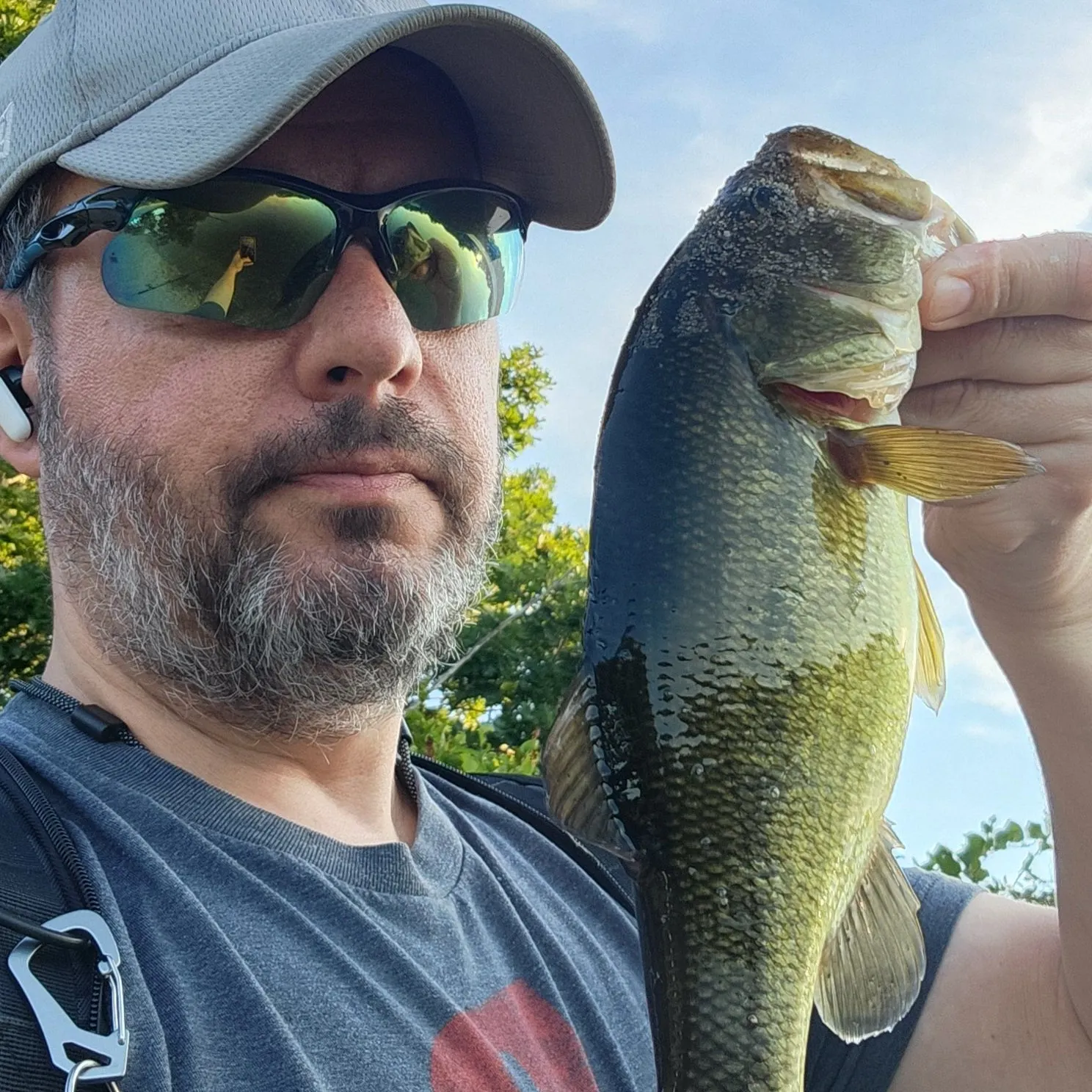 Largemouth bass caught on Fishbrain