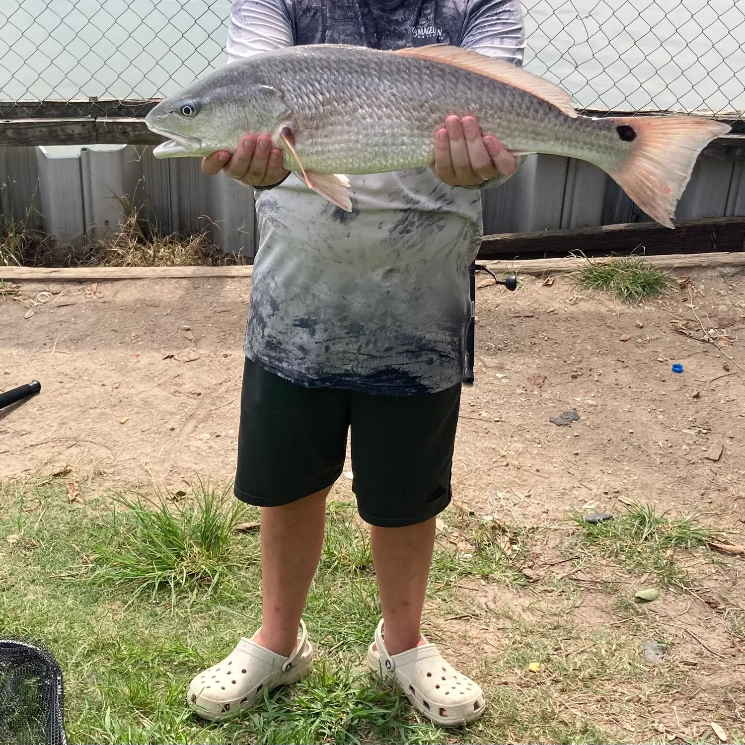 most liked catch image