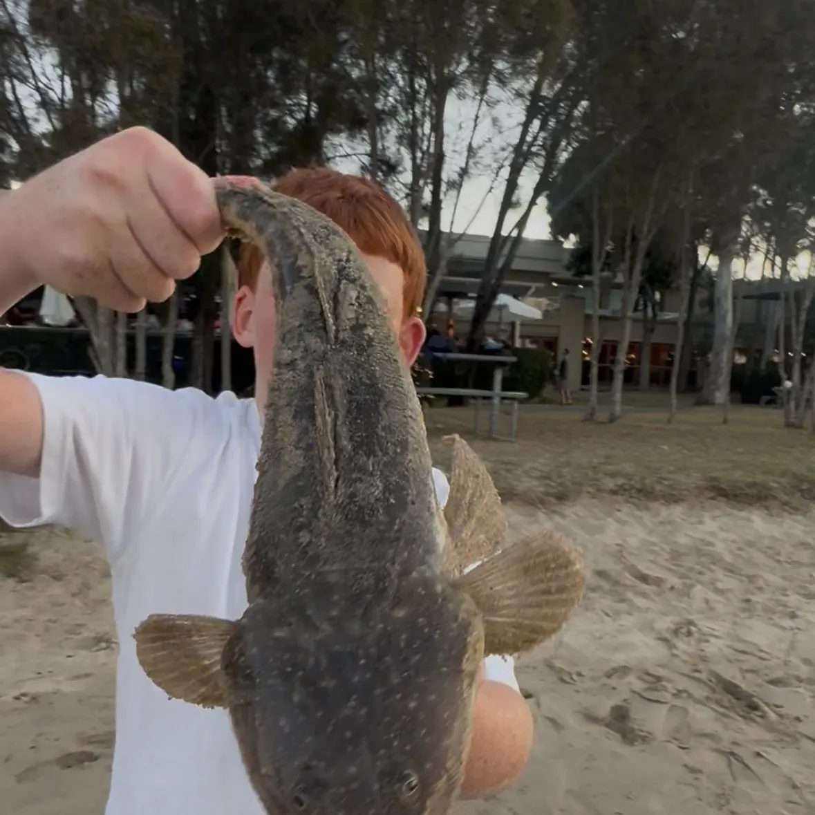 Dusky flathead caught on Fishbrain