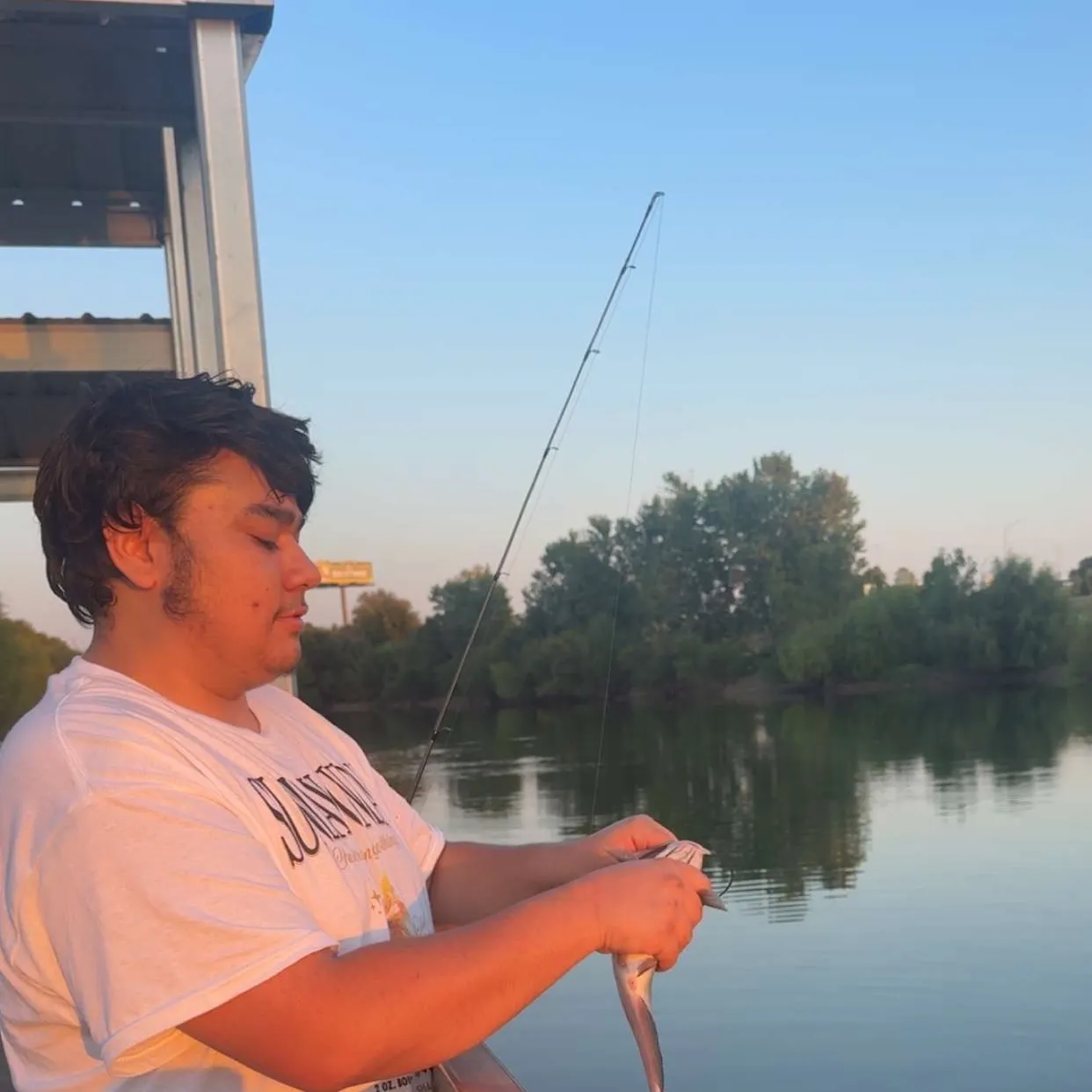 Channel catfish caught on Fishbrain