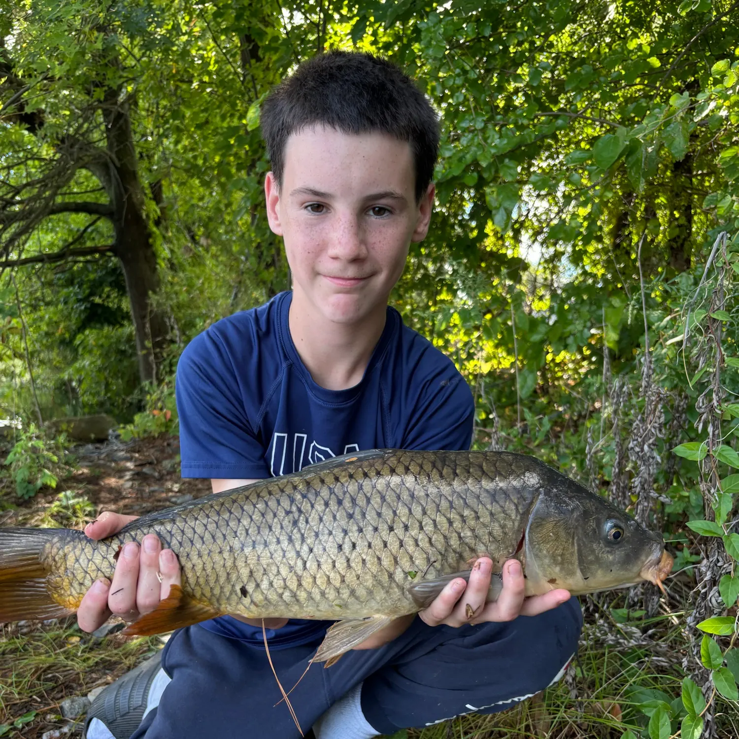 Common carp caught on Fishbrain