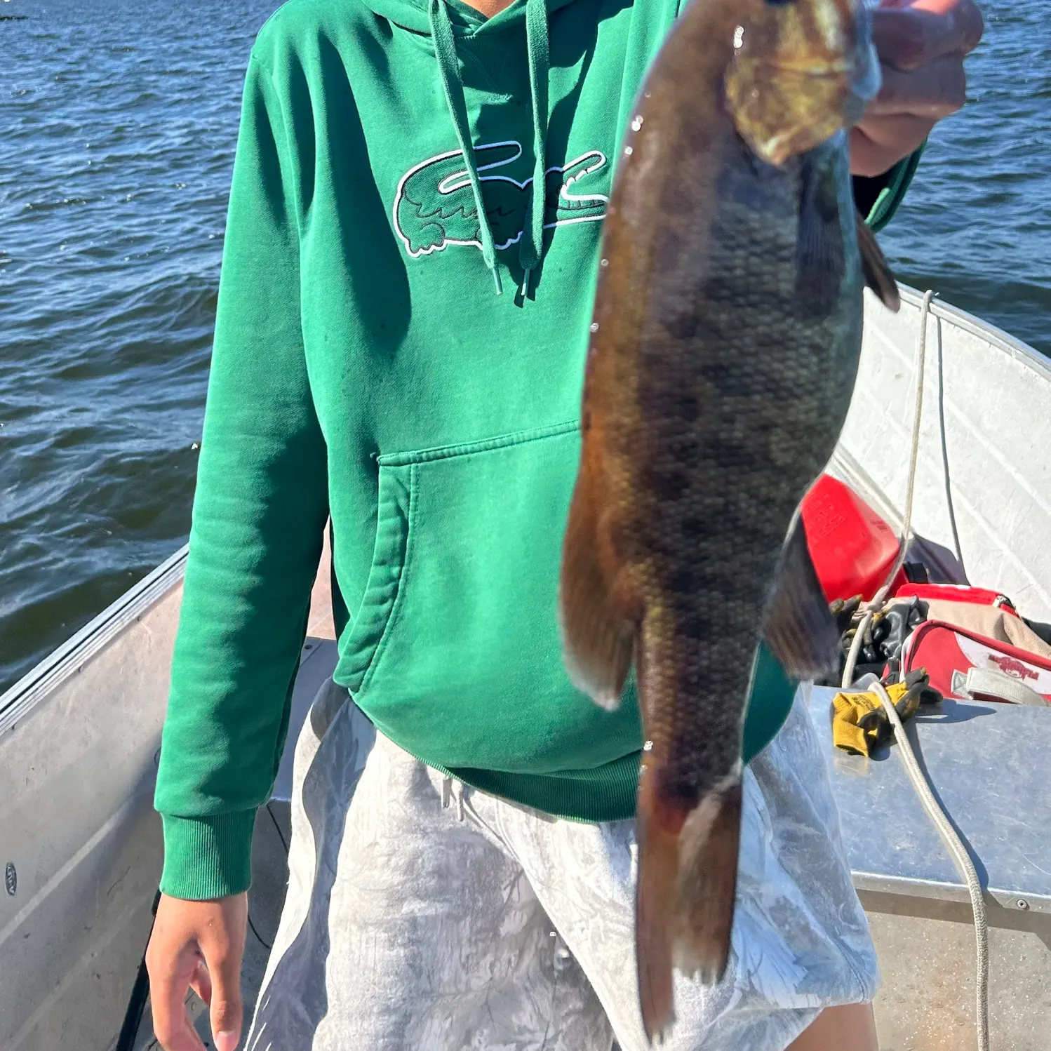 The most recent Smallmouth bass catches on Fishbrain