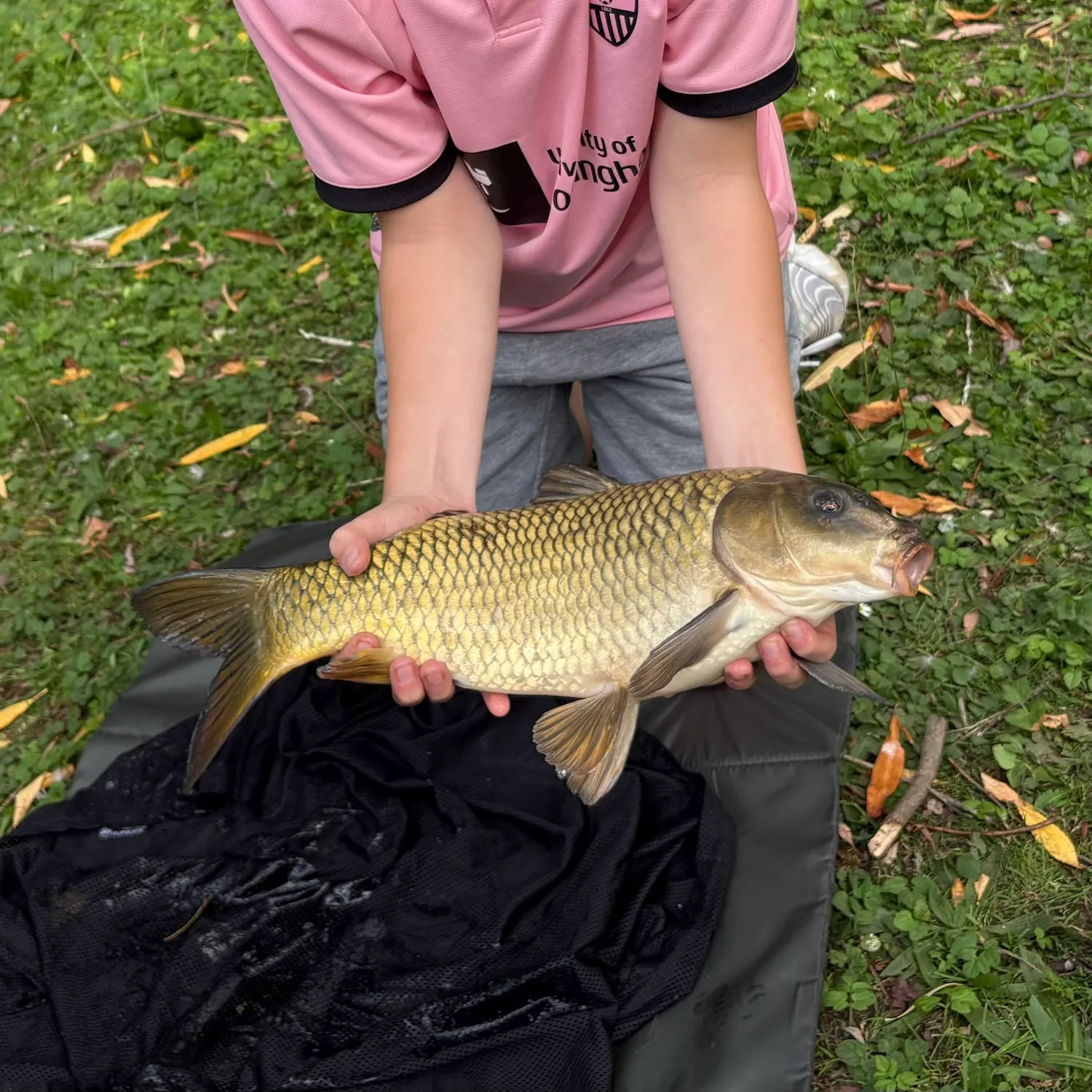 Common carp caught on Fishbrain