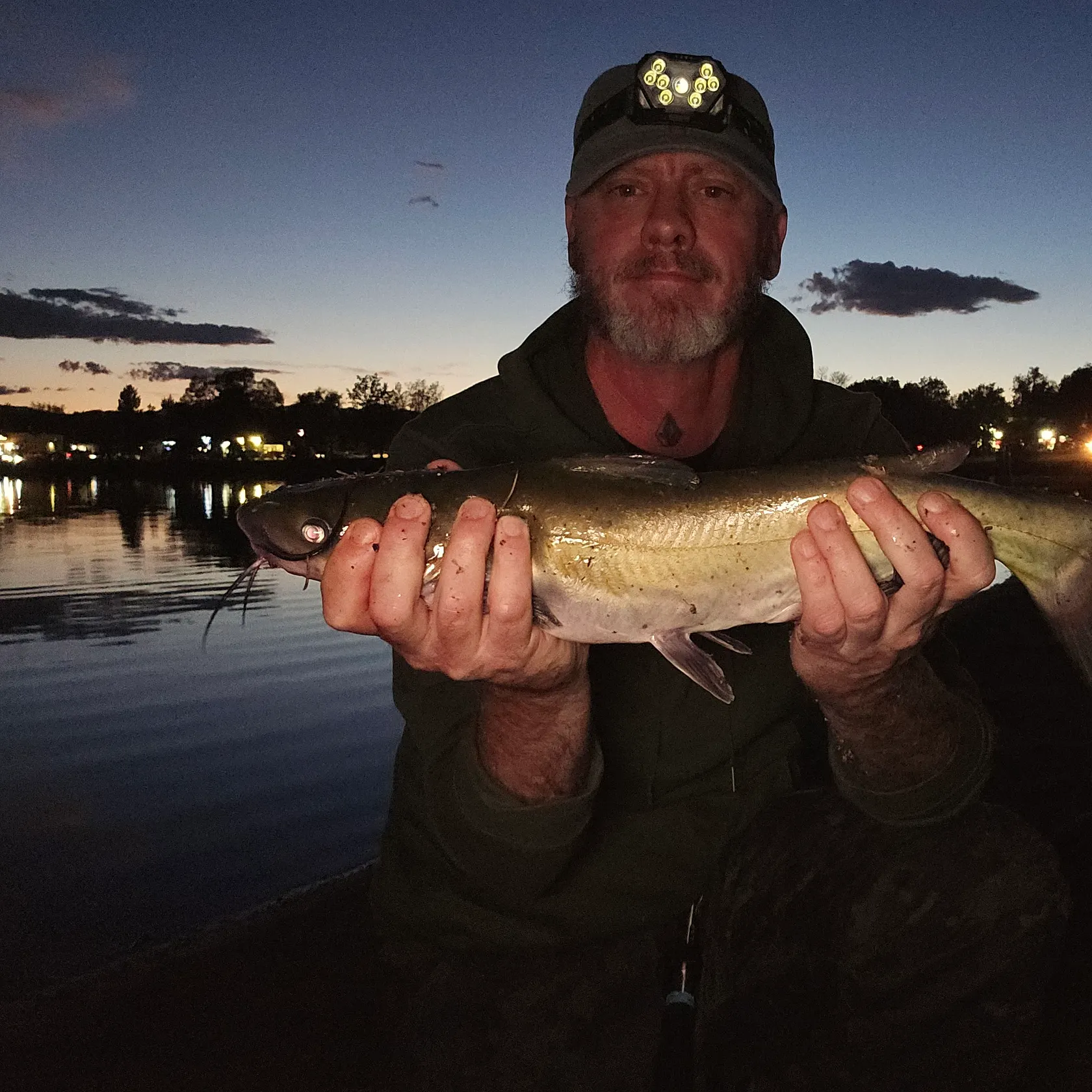 Channel catfish caught on Fishbrain
