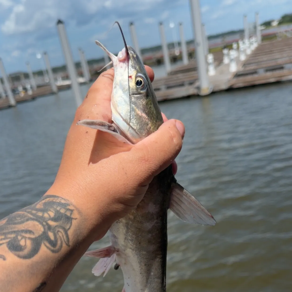 catch