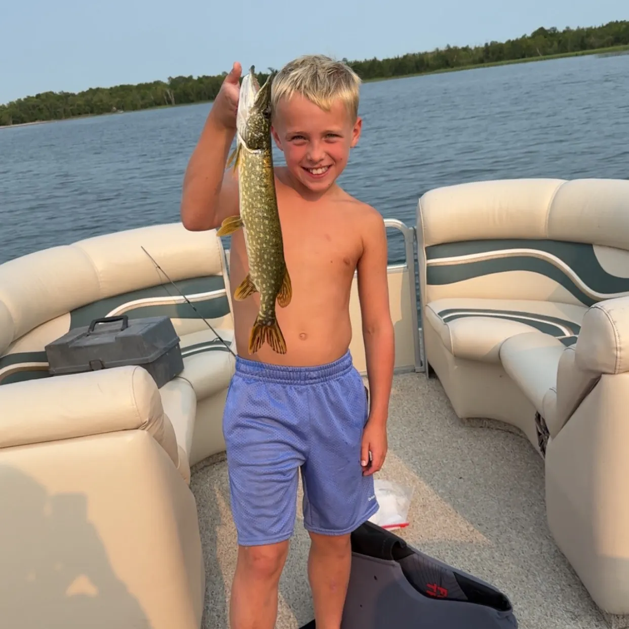 Northern pike caught on Fishbrain