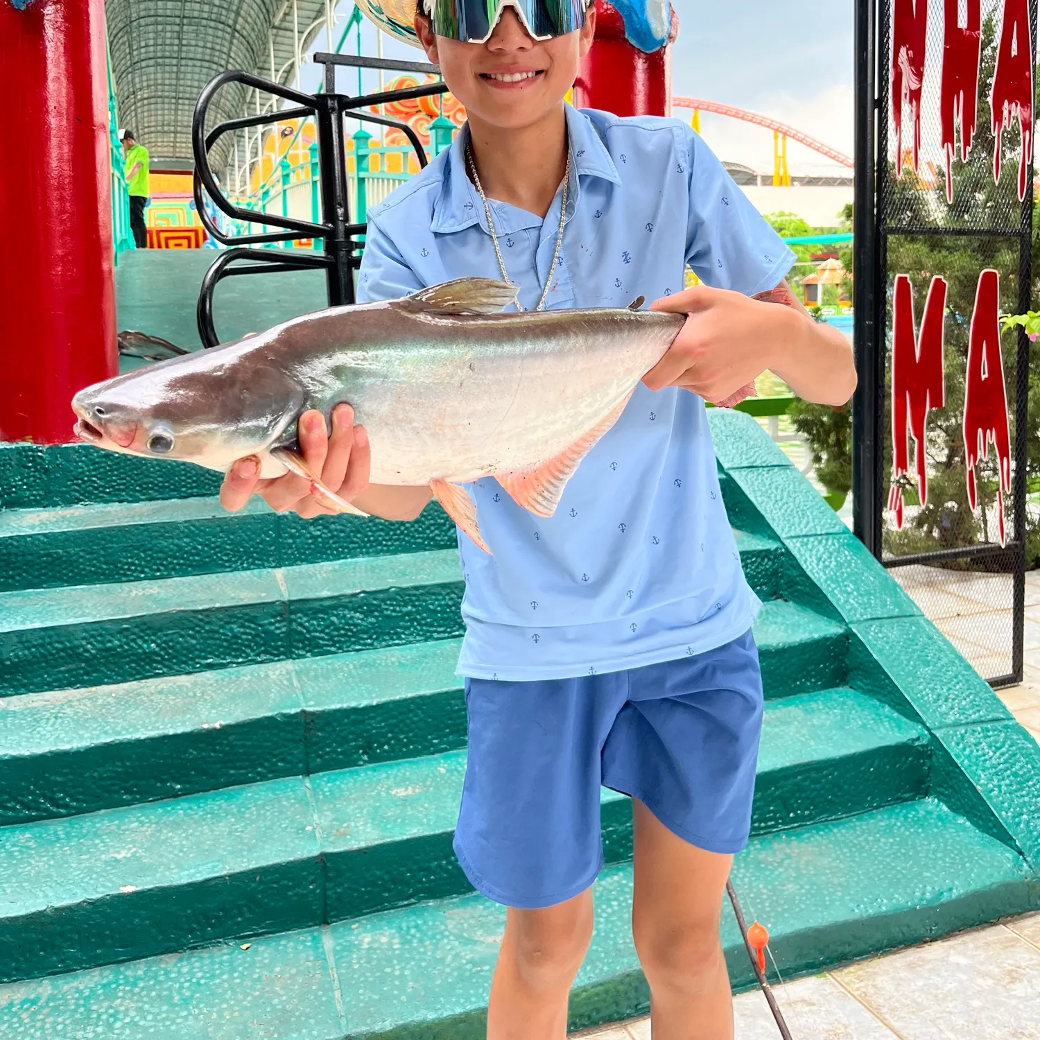 The most recent Yellowtail catfish catches on Fishbrain
