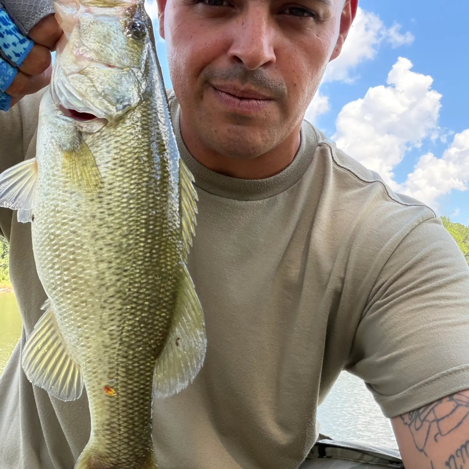 Largemouth bass caught on Fishbrain