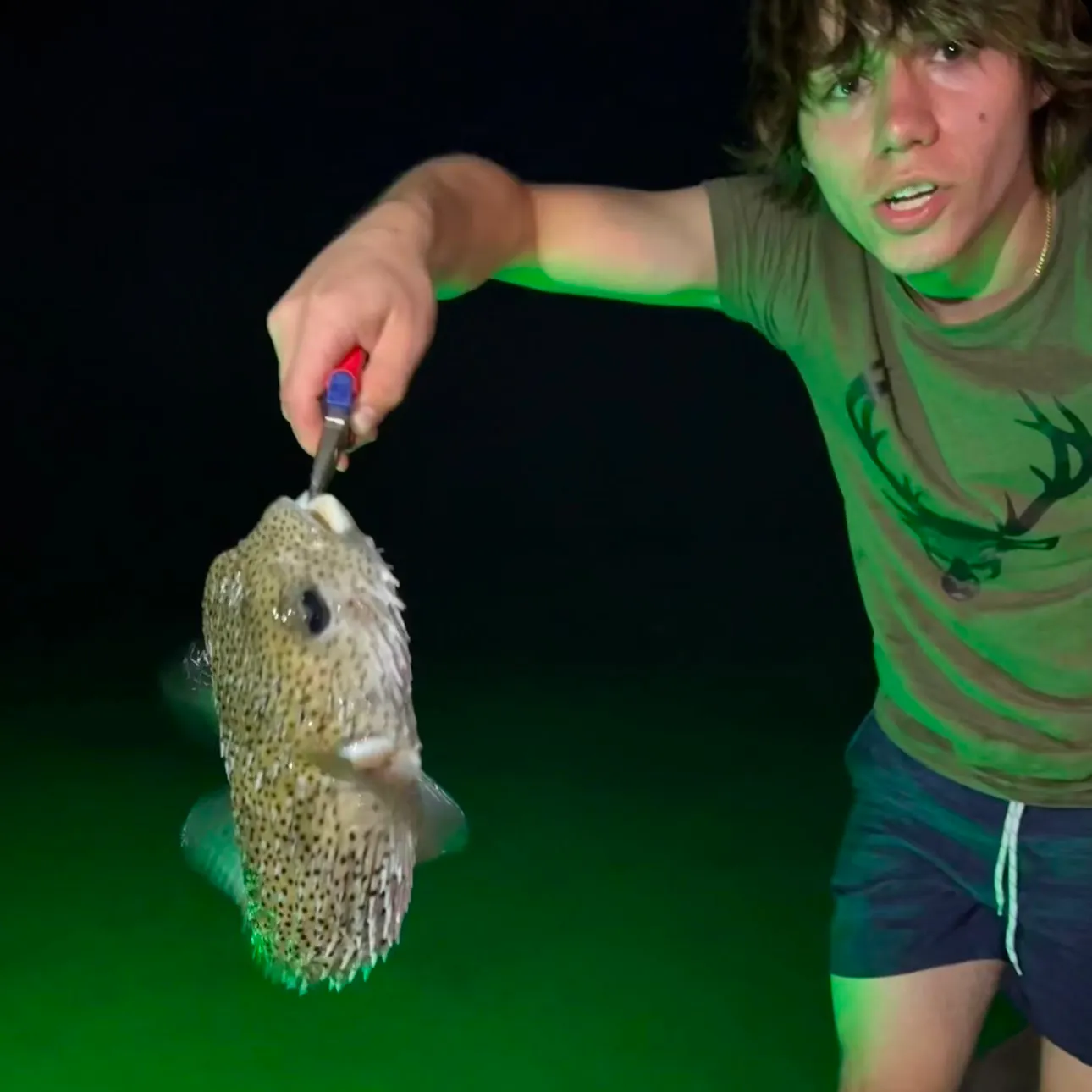 The most recent Map puffer catches on Fishbrain