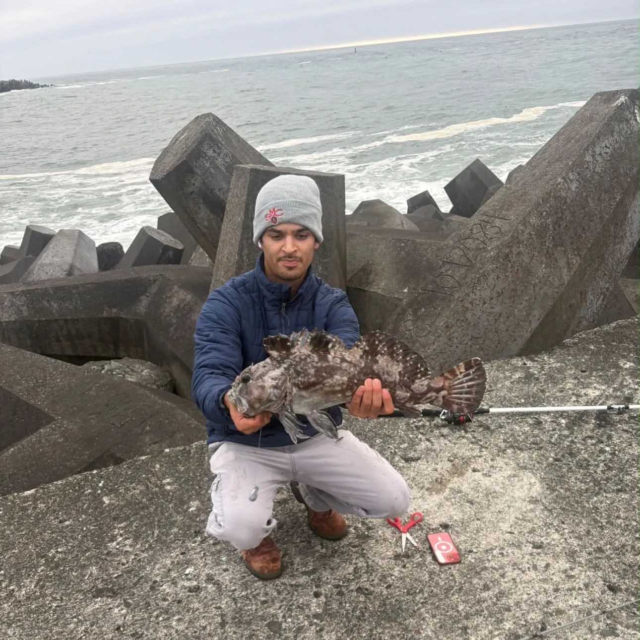 Cabezon caught on Fishbrain