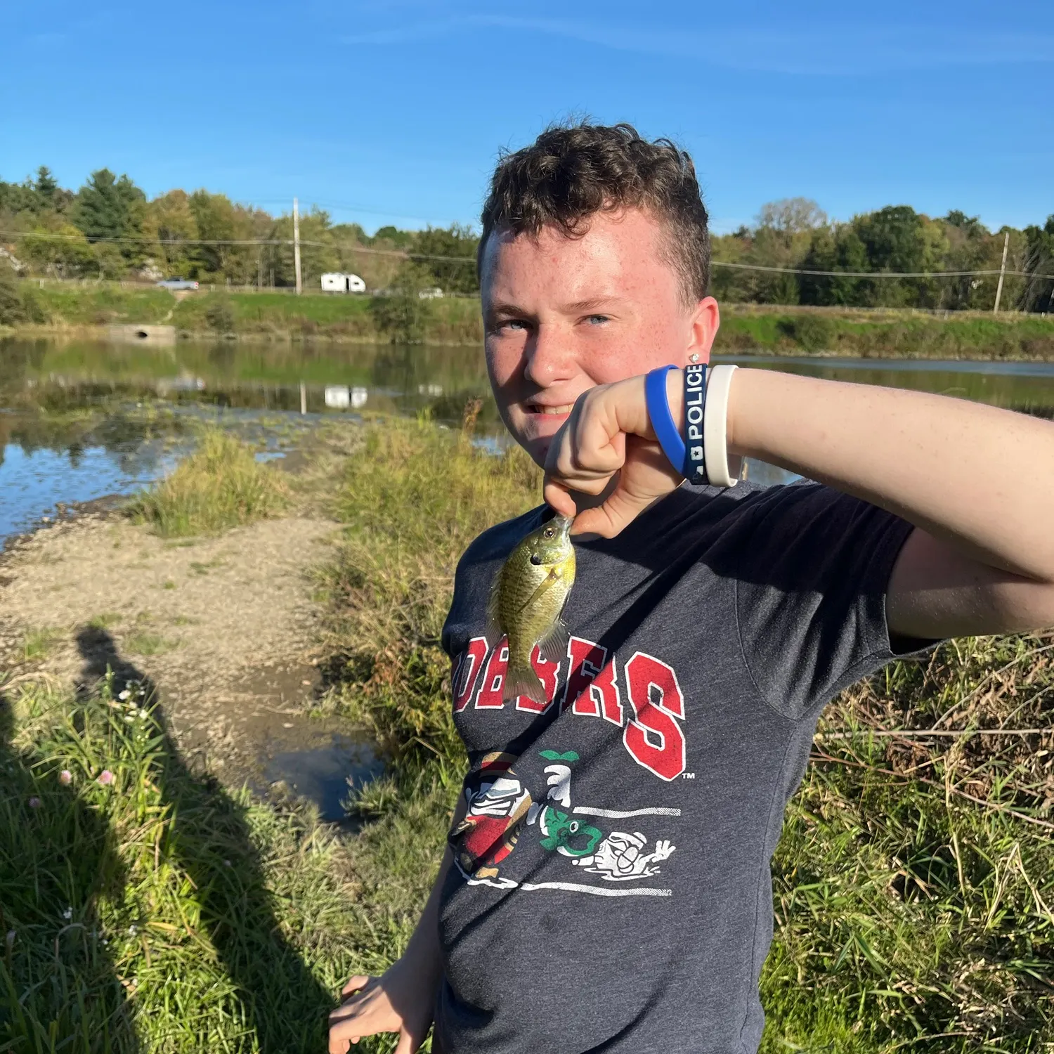 Bluegill caught on Fishbrain