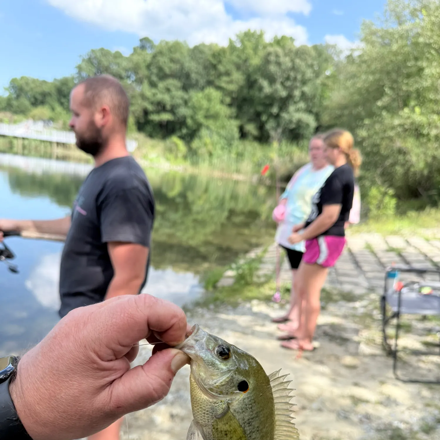 Fish caught on Fishbrain
