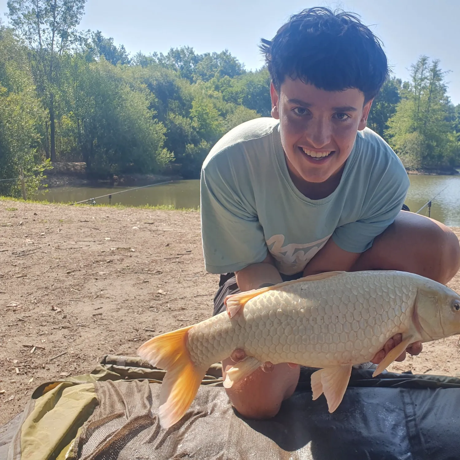 Koi carp caught on Fishbrain