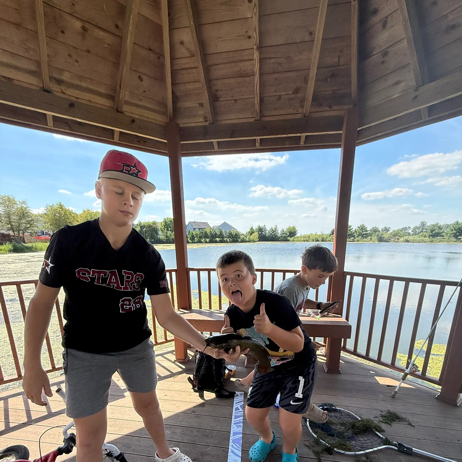 Yellow bullhead caught on Fishbrain