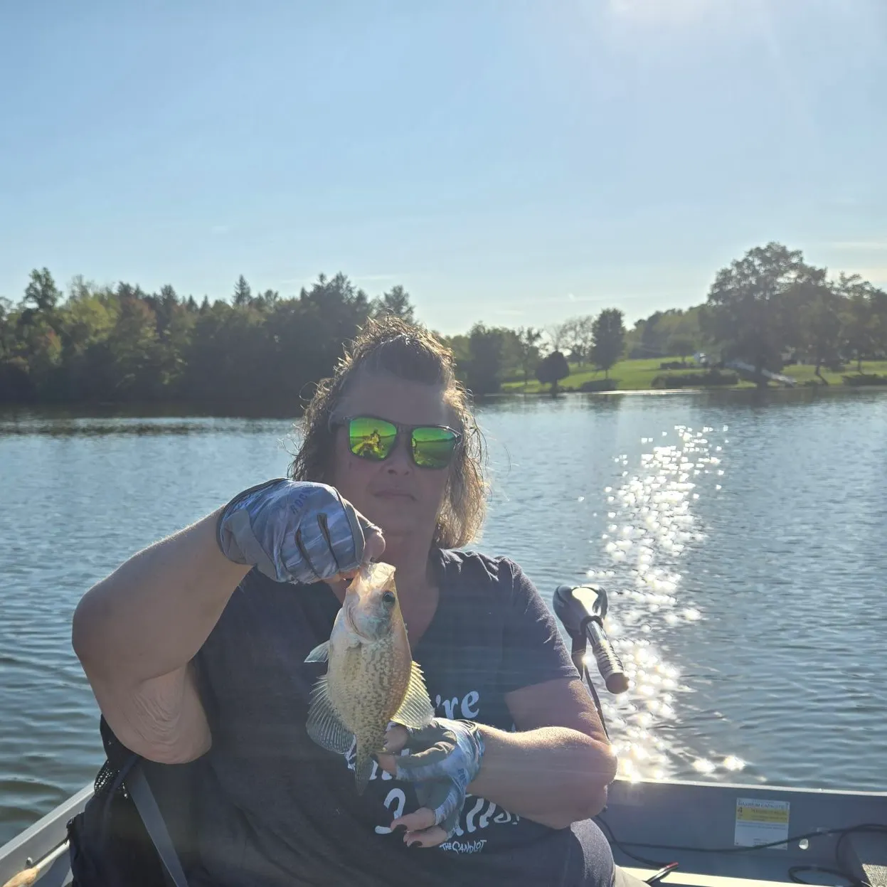 White crappie caught on Fishbrain