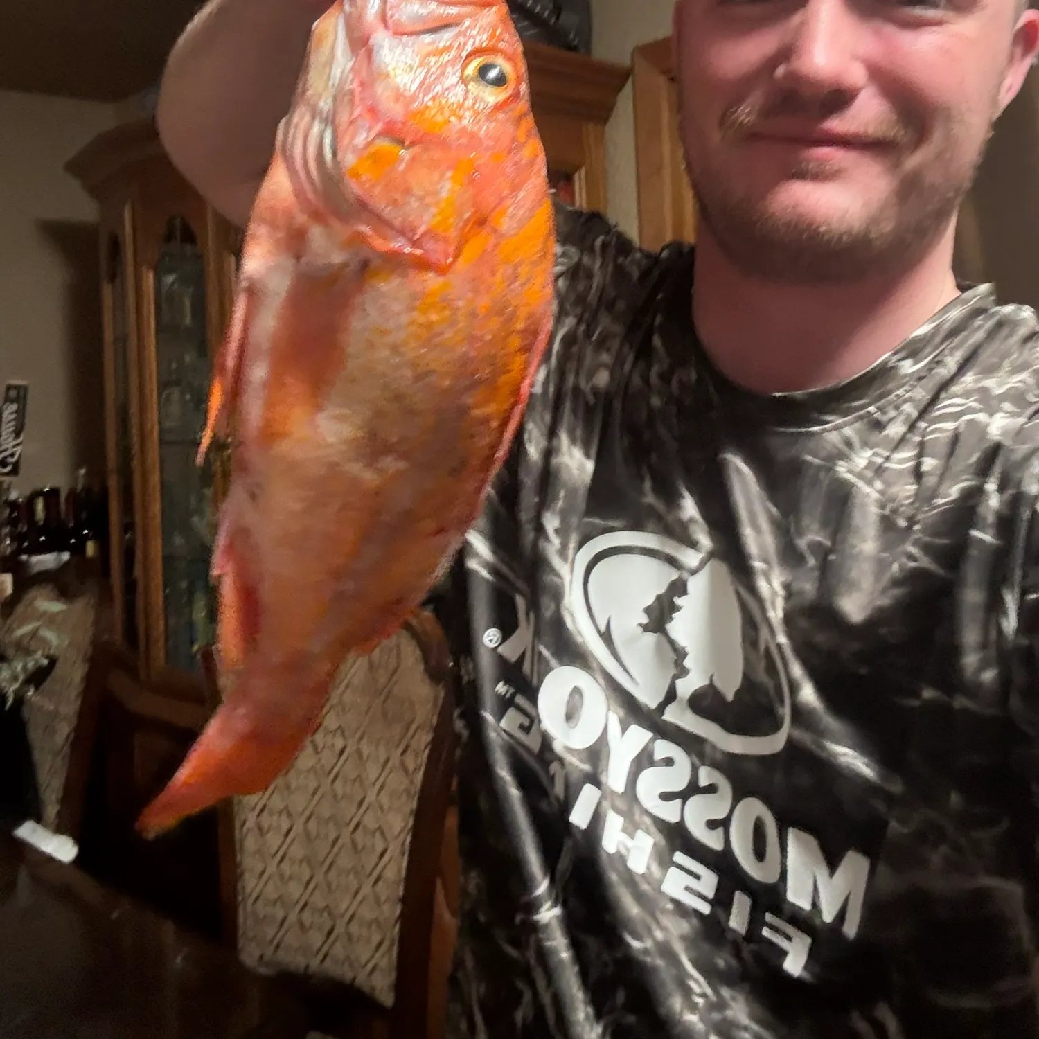The most recent Canary rockfish catches on Fishbrain