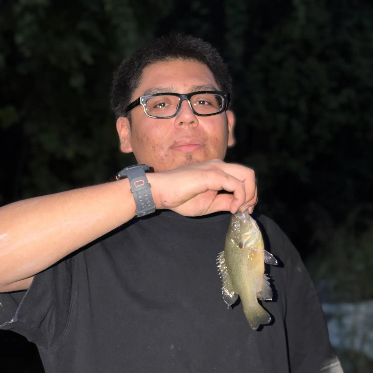 Fish caught on Fishbrain