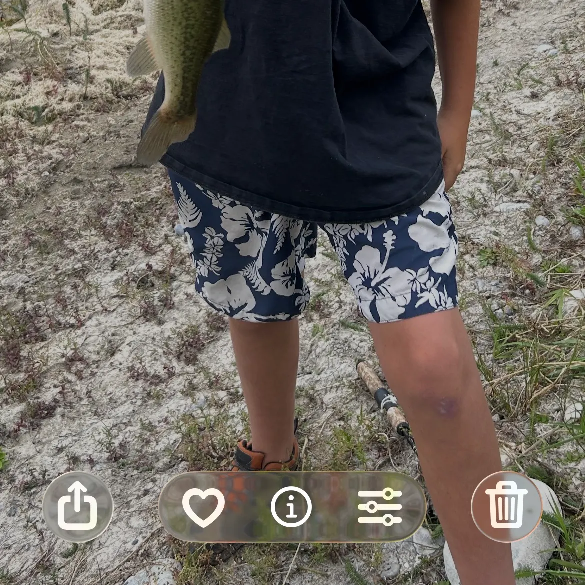Largemouth bass caught on Fishbrain