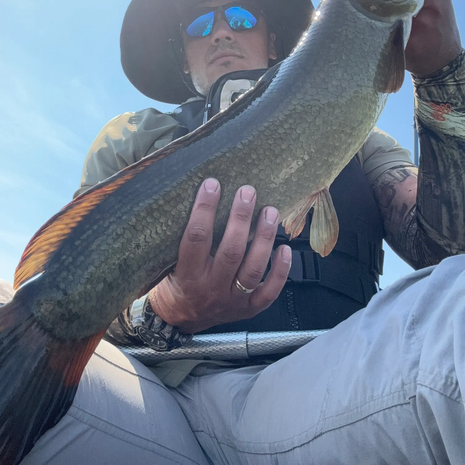 The most recent Ruddy bowfin catches on Fishbrain