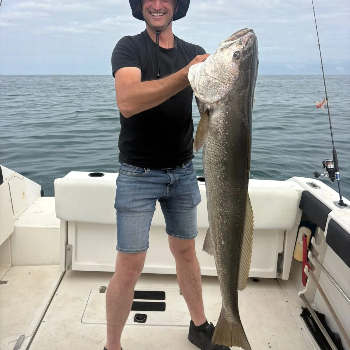 The most recent Meagre catches on Fishbrain