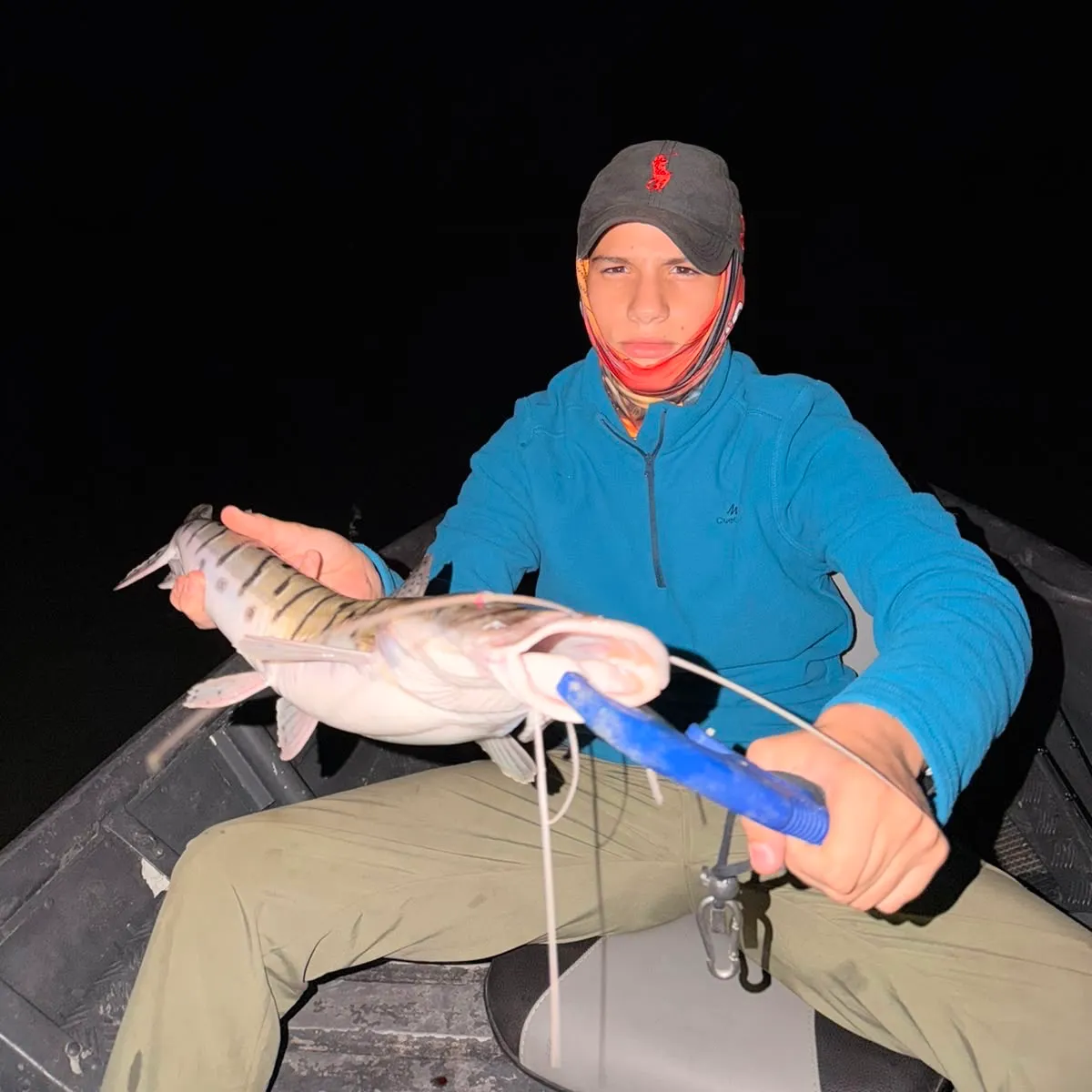 The most recent Barred sorubim catches on Fishbrain