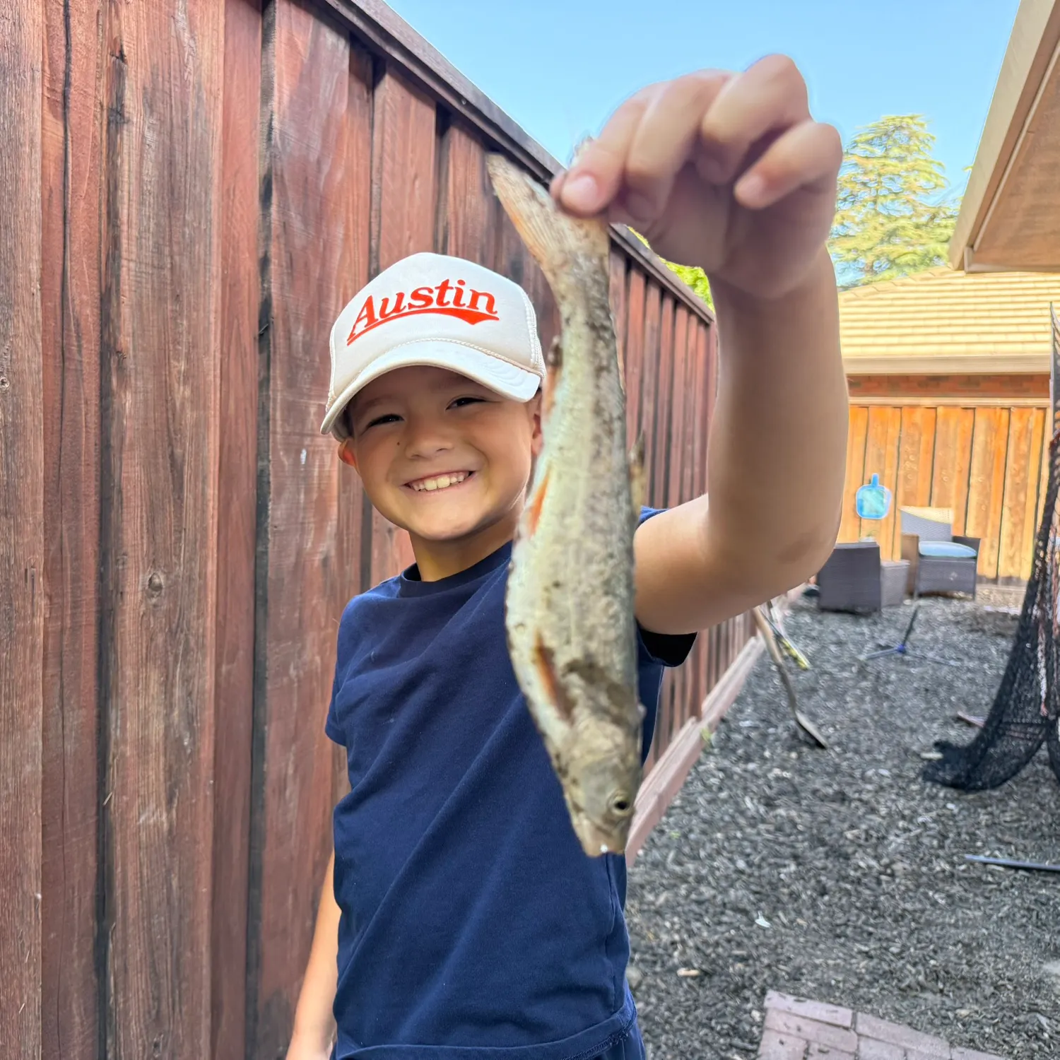 The most recent Sacramento pikeminnow catches on Fishbrain