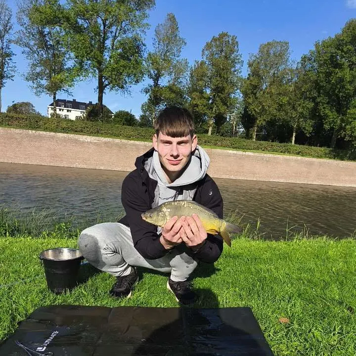 Mirror carp caught on Fishbrain